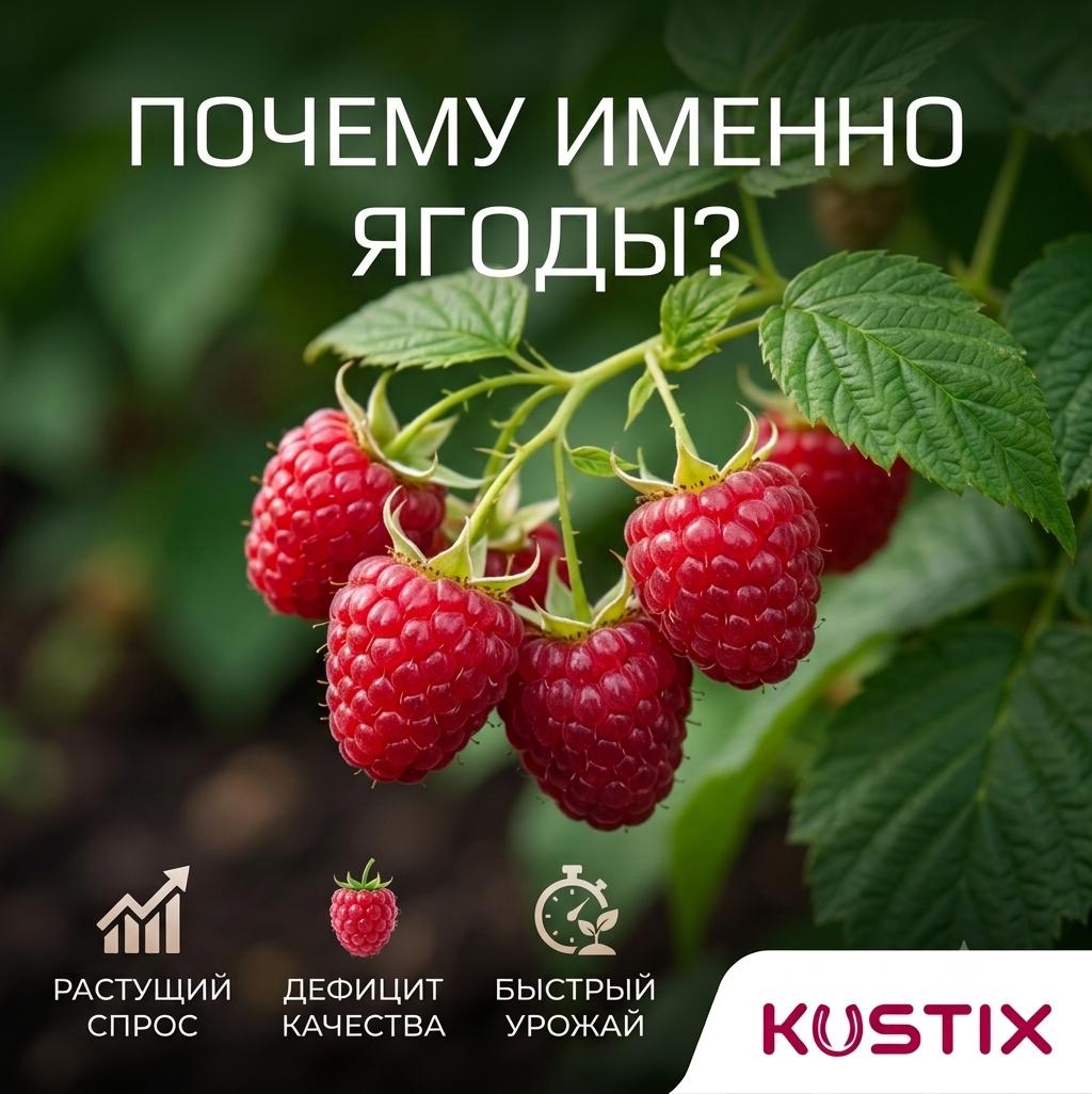 Why berries are called the «new gold» of agribusiness